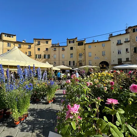 Apartment Casina Bella Di *